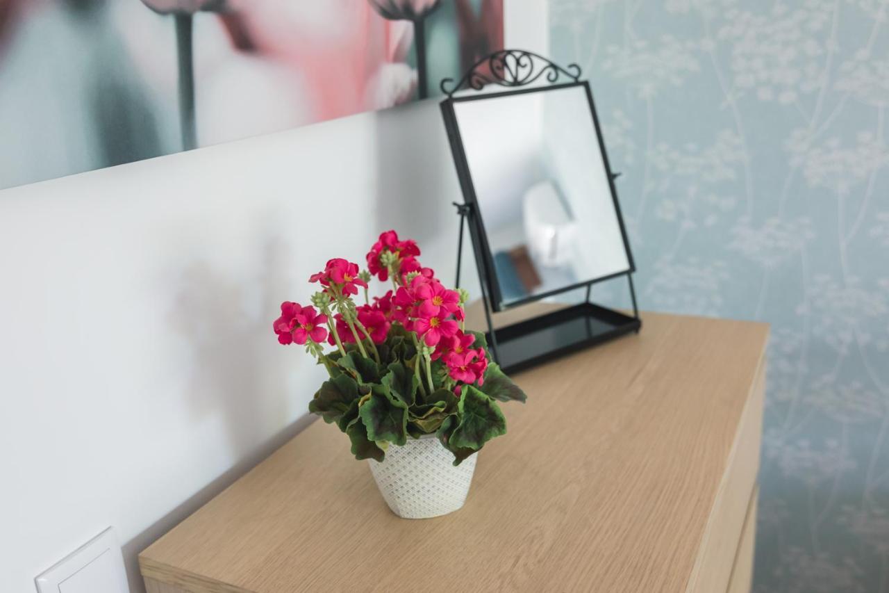 Casa Flor De Lotus - T1 Centro Apartment Брага Екстериор снимка